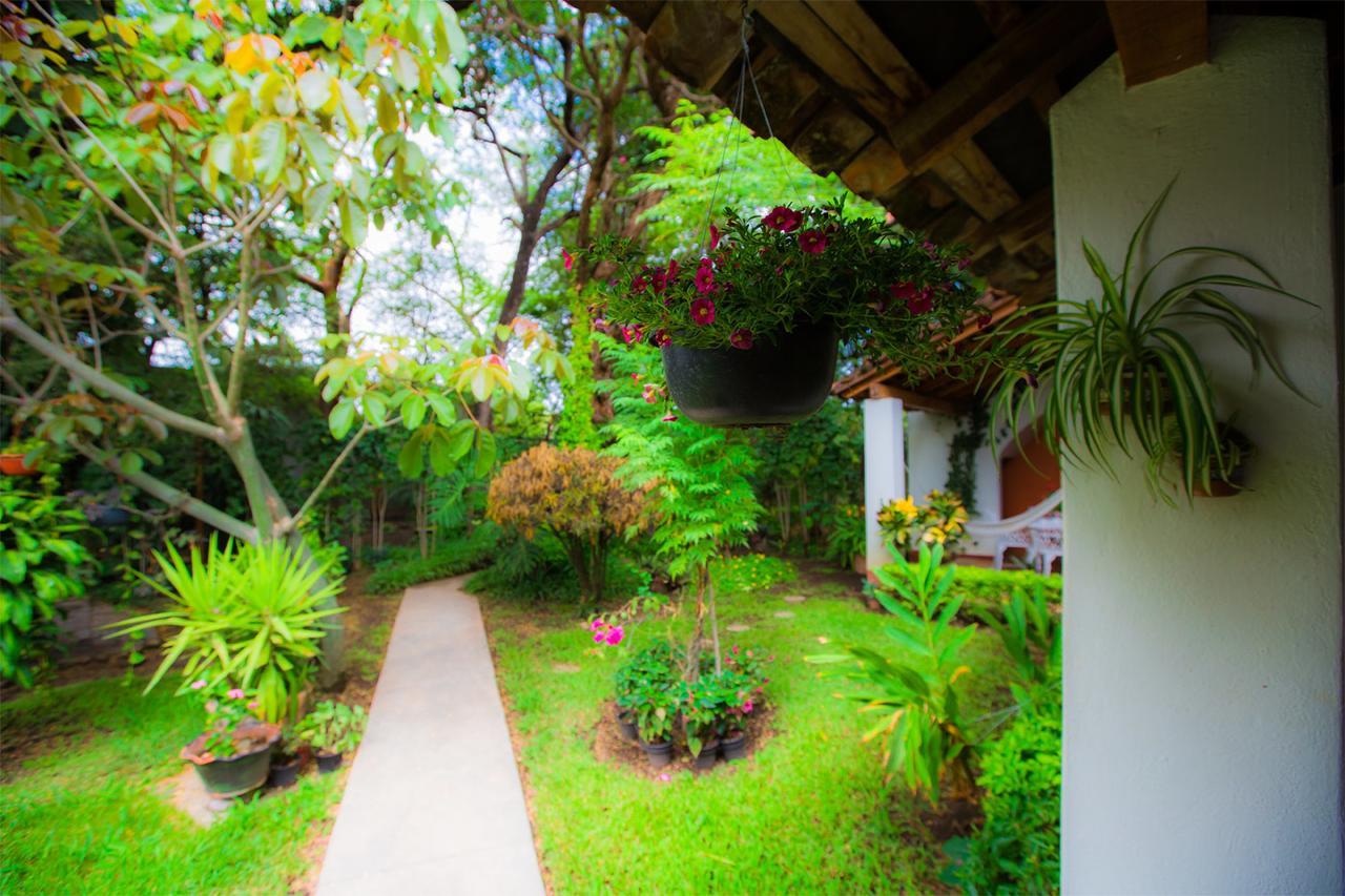 Hostal La Parroquia En Comala Exterior photo
